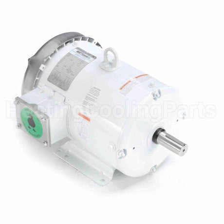 132197 Leeson Motor