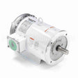 132201 Leeson Motor
