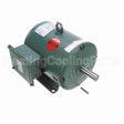 132234 Leeson Motor