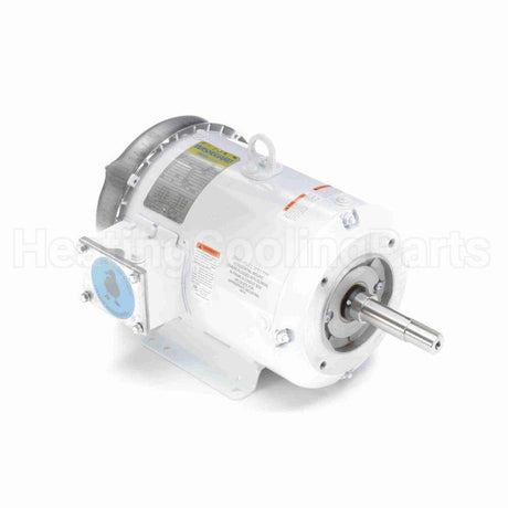 132443 Leeson Motor