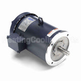 132561 Leeson Motor