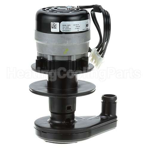 13434 Compatible Manitowoc Water Pump Assy