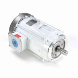 141269 Leeson Motor