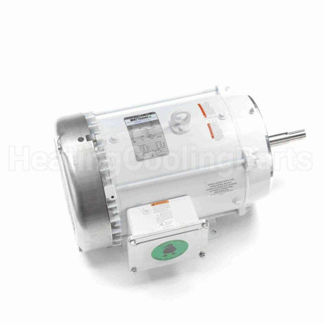 141270 Leeson Motor