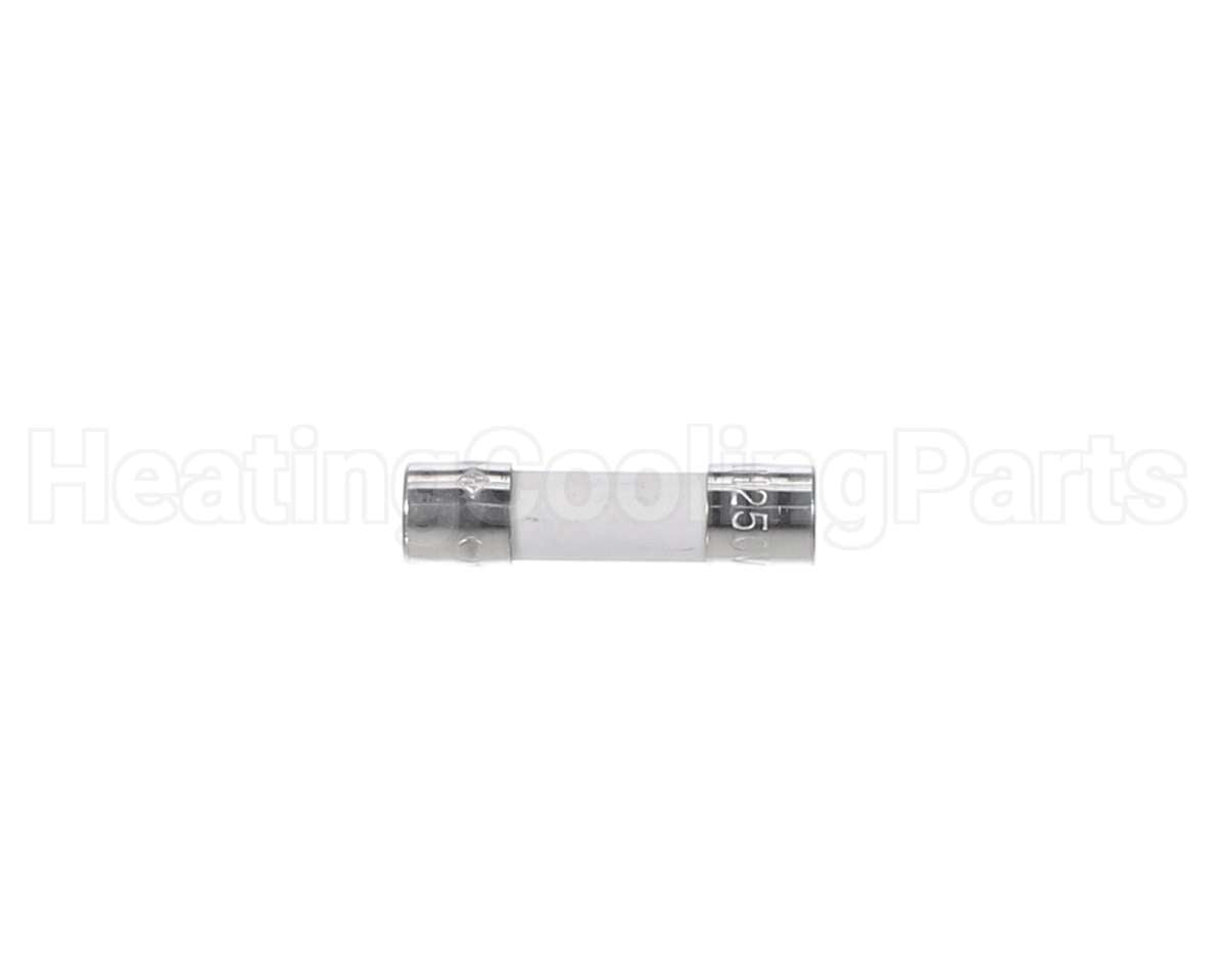153875J Daikin-Mcquay Fuse