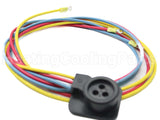 15M36 Lennox 3Ph,Molded Plug Harness,65"