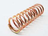 173-62-021-02 Sensus-Gas Division Cadmium Spring, 1/2-3 Psi