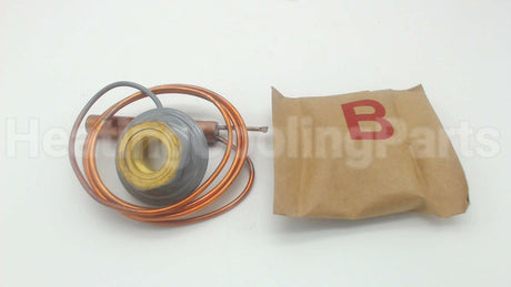 181213 Sporlan Controls 60" Cap Element Kit