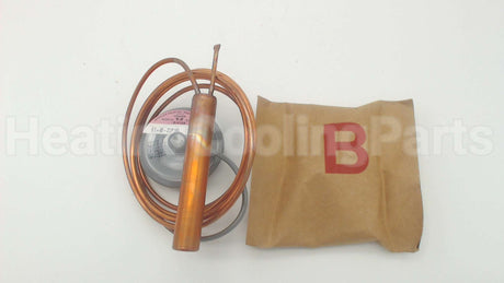 181213 Sporlan Controls 60" Cap Element Kit