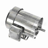191949 Leeson Motor