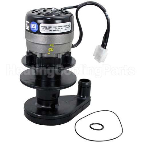20-0739-9 Compatible Manitowoc Water Pump - 230V/60Hz