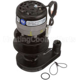 2008929-ORA Compatible Manitowoc Water Pump - 115V