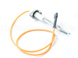 204611 Reznor Electrode Assembly