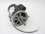 21819-002 Wayne Combustion Motor 1/2 120/230/50-60