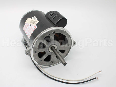 21819-002 Wayne Combustion Motor 1/2 120/230/50-60