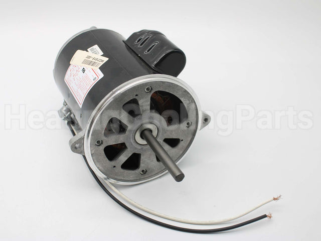 21819-002 Wayne Combustion Motor 1/2 120/230/50-60