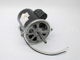 21819-002 Wayne Combustion Motor 1/2 120/230/50-60