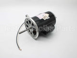 21819-002 Wayne Combustion Motor 1/2 120/230/50-60
