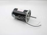 21819-002 Wayne Combustion Motor 1/2 120/230/50-60