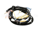 22A679 Ultrafryer Cable, Main Fm P3 Basic W/24C Gas Valve