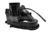 239-48528-00 Bradford White Blower Assembly