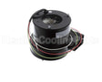 270464 Reznor Motor 2-Speed 4-Wire 120V 60Hz