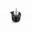 276 Century Unit Bearing Motor