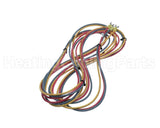 28W54 Lennox Blower Harness