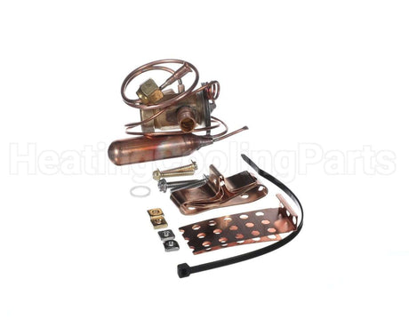 331709-768 Carrier 3/8 Txv Kit