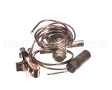 33B0006N20 Climatemaster Expansion Valve (Txv)