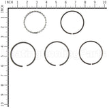 399067 Briggs & Stratton Set Ring