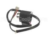 4015884 Daikin-Mcquay Solenoid Coil (Exv)