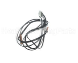 4027060 Daikin-Mcquay Thermistor Assy