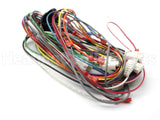 45-104090-01 Rheem-Ruud Wiring Harness Assembly