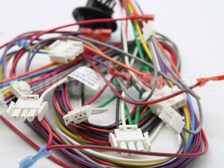 45-104202-01 Rheem-Ruud Wiring Harness Assembly