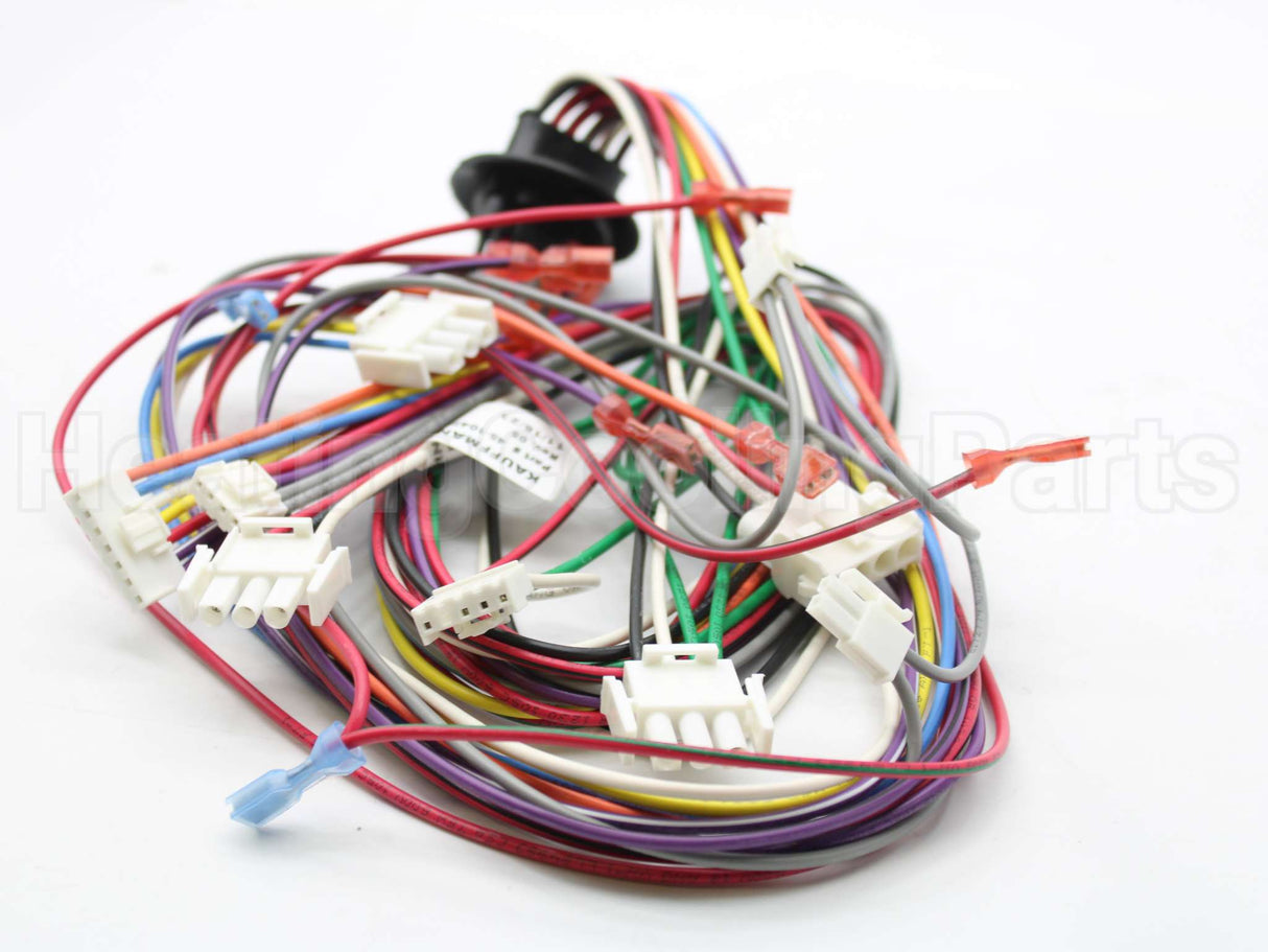 45-104202-01 Rheem-Ruud Wiring Harness Assembly