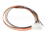 45-24258-16 Rheem-Ruud Wiring Harness