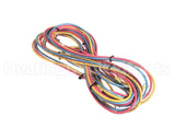 45K28 Lennox Harness
