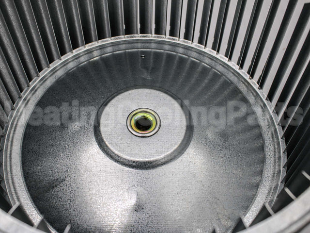 45M36 Lennox 11 1/2"X10"Blowerwheel1/2"Bore