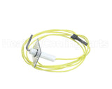 48DP500613 Carrier Flame Sensor With Wire