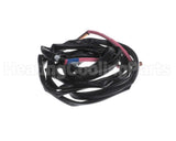 5009498 Daikin-Mcquay Thermistor Assy