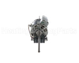 50098502 International Environmental 277/1/60 Motor