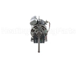 50098502 International Environmental 277/1/60 Motor
