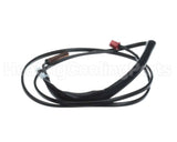 5011028 Daikin-Mcquay Thermistor (Coil)