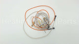 511-330-081 Weil Mclain Lp Pilot Assembly