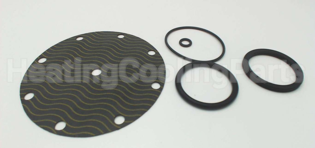 5346-01 Watts Repair Kit For 2" 116Xy