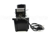 553245 Little Giant 230V 1/5Hp 6' Cord Pump