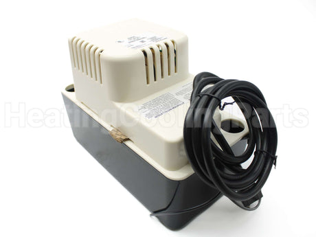 554425 Little Giant 115V 1/30Hp 6' Cord Pump