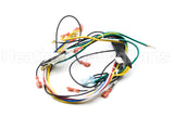 591-391-863 Weil Mclain Wiring Harness