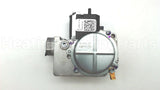 60-103901-01 Rheem-Ruud Natural Gas Valve